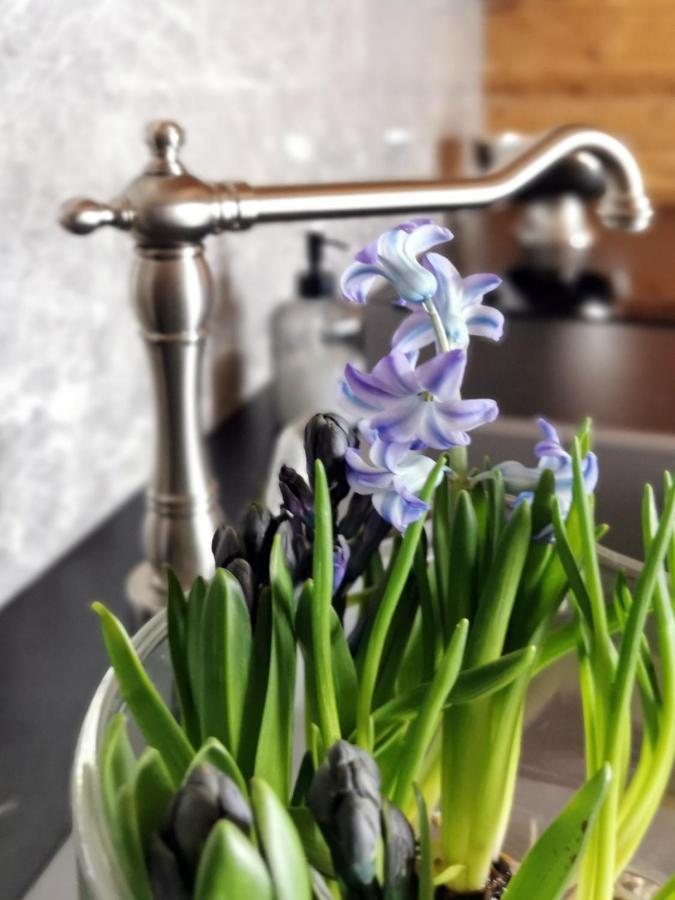 Siedlisko Koscielisko Apartamento Exterior foto